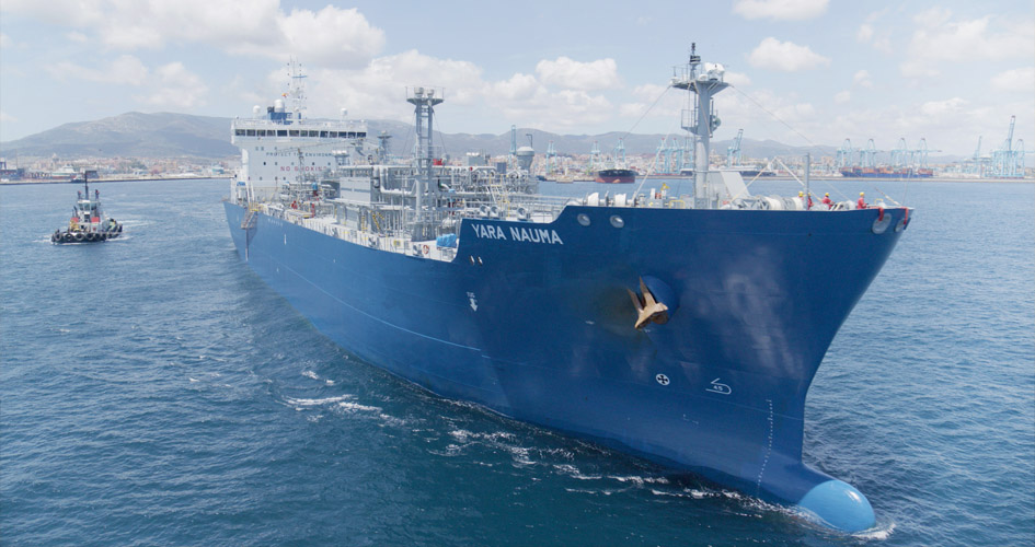 YCA boat