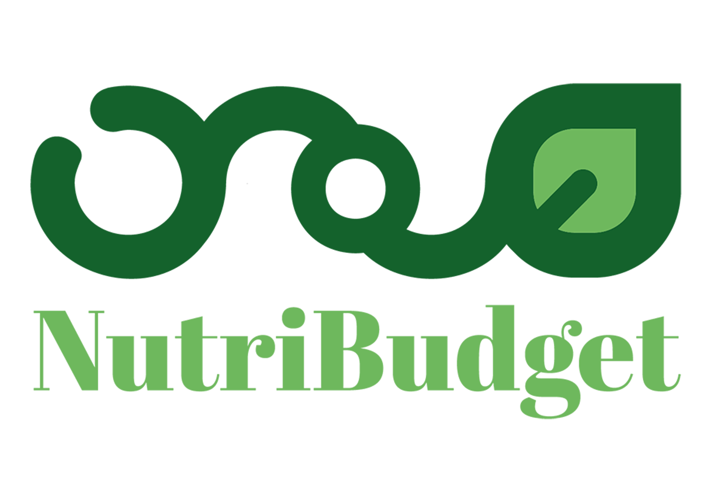 NutriBudget logo