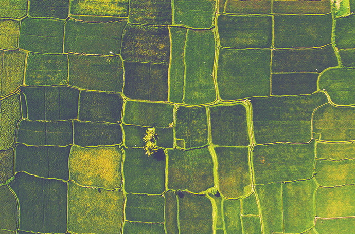 Aerial view of fields