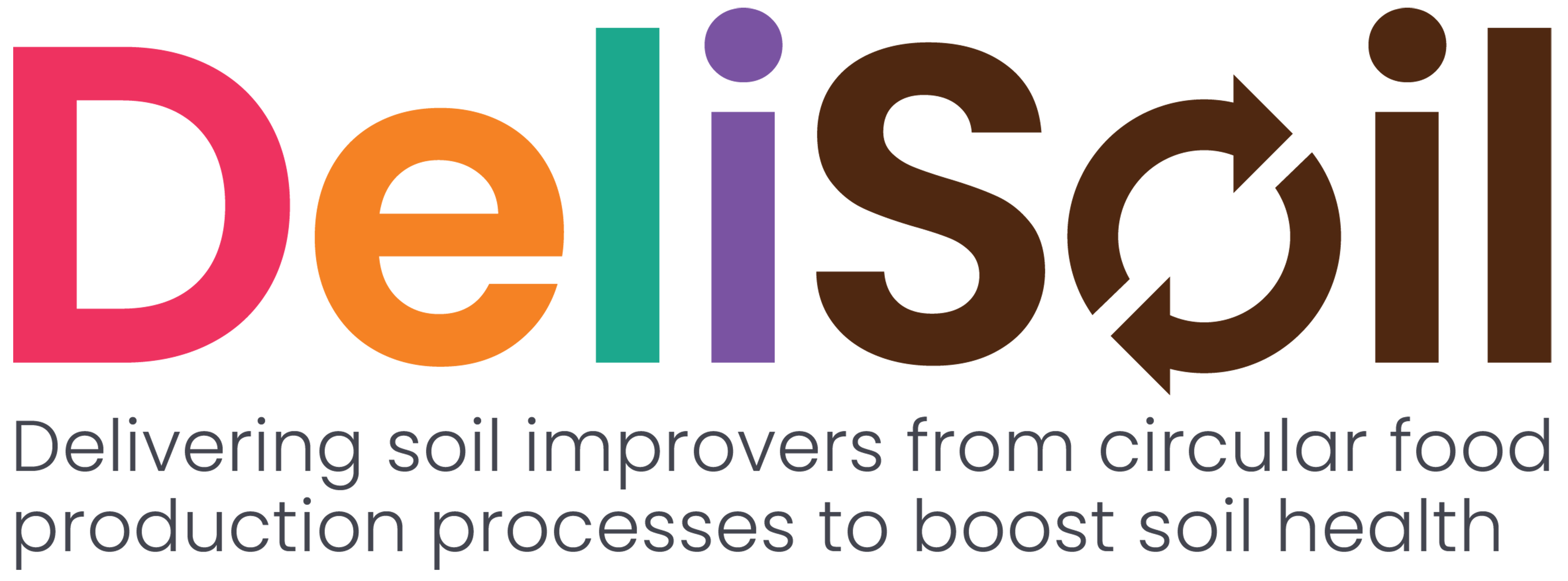 DeliSoil logo