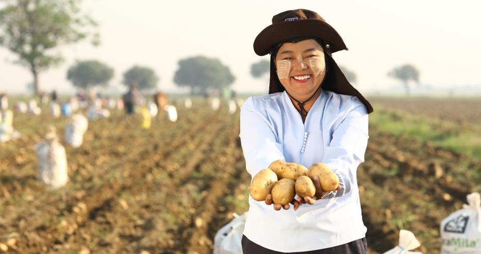 Lwin Lwin Mar in a potato field, holding potatoes