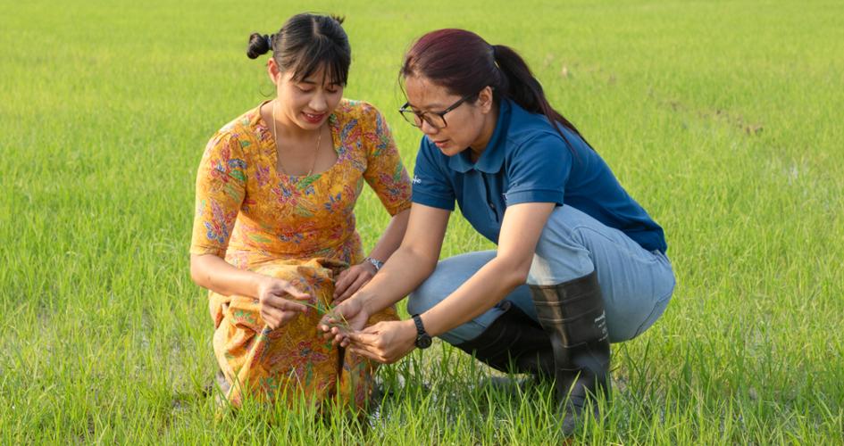 Female farmer and agronomist in Myanmar