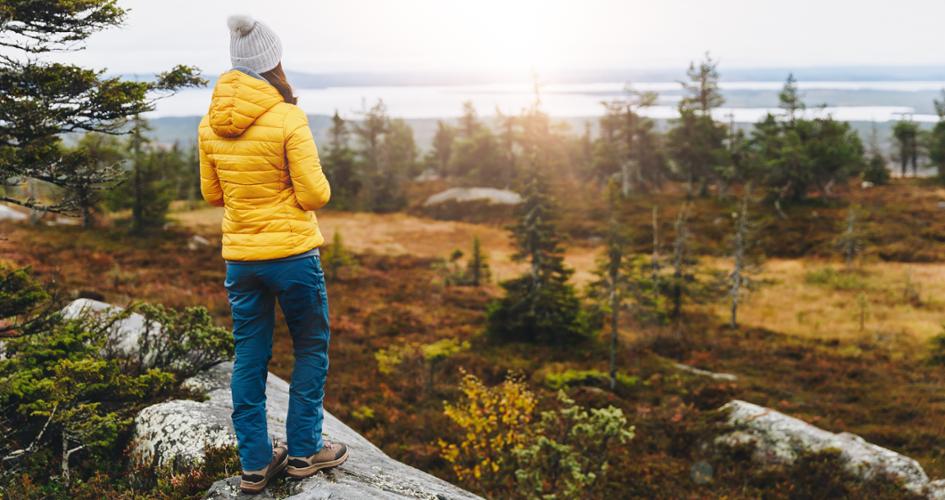 Woman looking out into forest