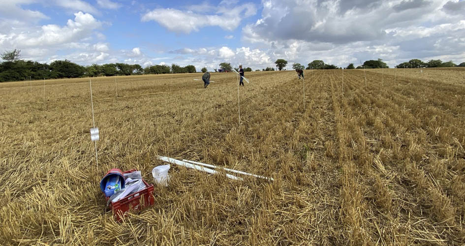 Around a third. Ислам 40парщ. Around a third. Around a third. Around a third.