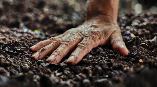 Hand touching soil